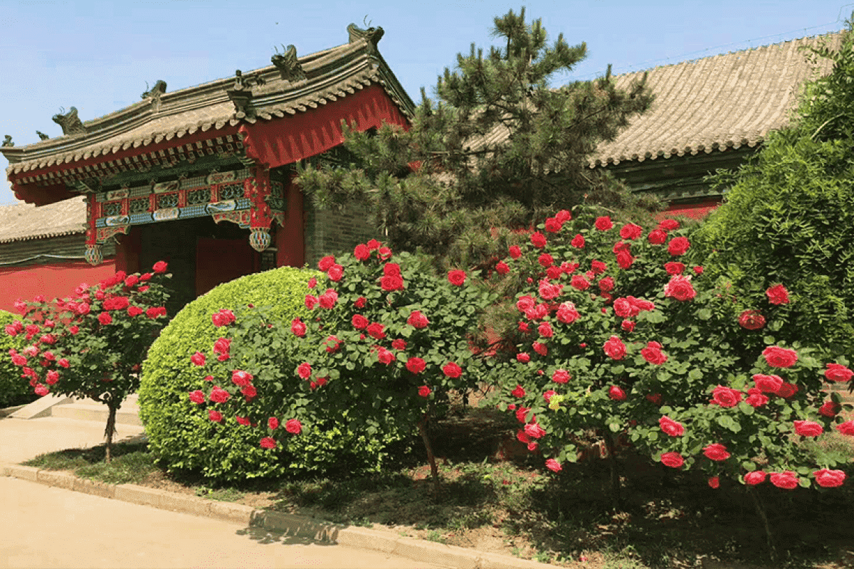 天津永定塔陵墓地园区建筑图